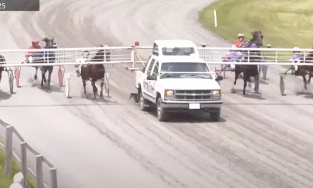 Woodstock Driving Club, harness racing community supports family after death of toddler